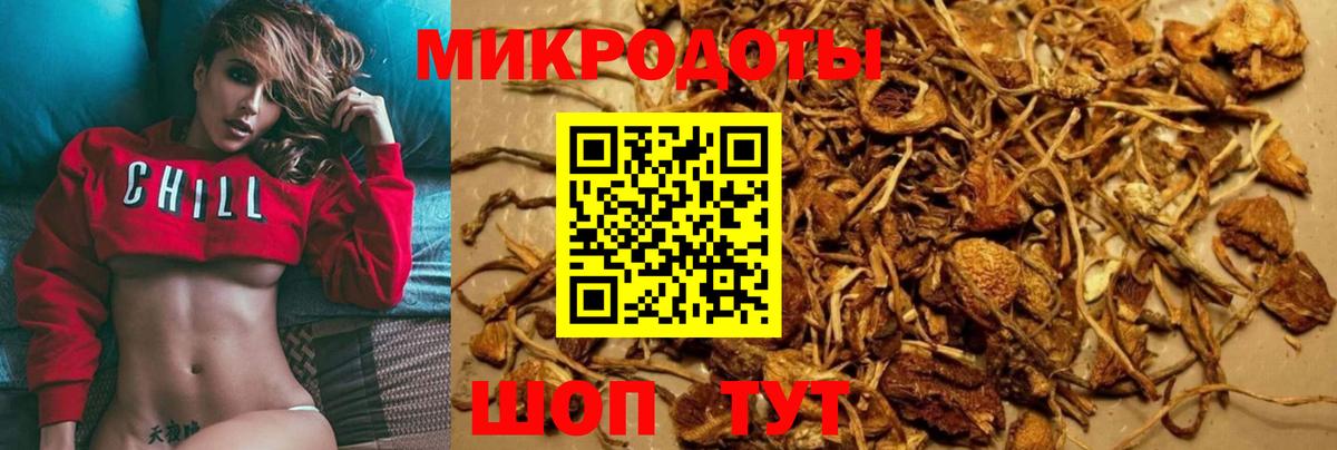Галлюциногенные грибы Psilocybe  Галлюциногенные грибы мицелий  Ростов Великий  Вход с VPN 